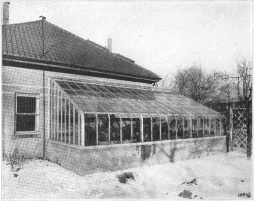 Greenhouse