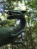 Dinosaur Gardens