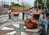 The Orange Show